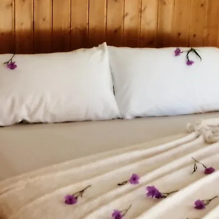 Caseta Rovira Holiday home *