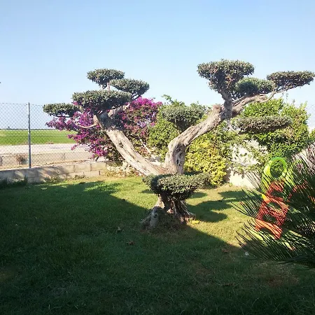 Holiday home Caseta Rovira Deltebre
