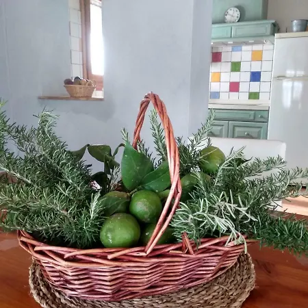 Caseta Rovira Holiday home Deltebre