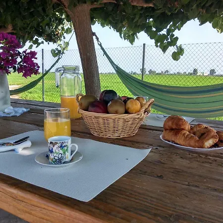 Holiday home Caseta Rovira *